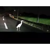 りか