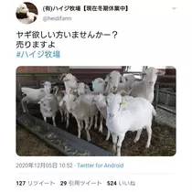 のはら かすみ