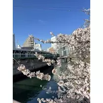 しゅり