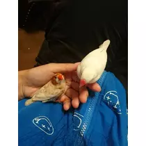 ちよママ