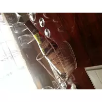 本城 椿
