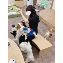 ちあき