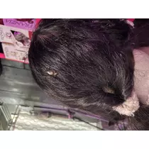 あめ ．