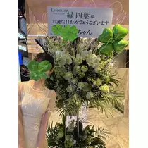 緑 四葉