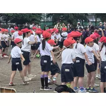 あおい