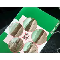 美月