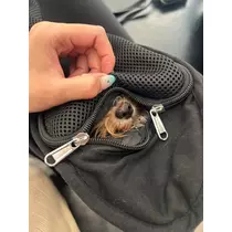 ふうか