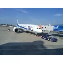 姫花
