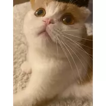 るな