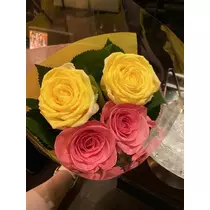 白石 愛莉