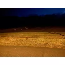 長瀬 純恋