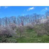 綾瀬 優