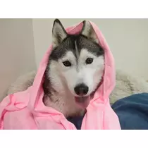 せら