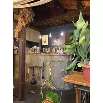 芹沢 莉瀬