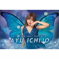 一条 彩由