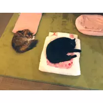 ちあき