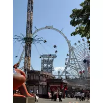 はな
