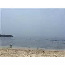 愛羽 仁美