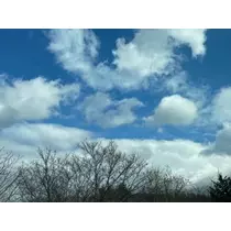 成海 まお