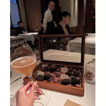 舞桜