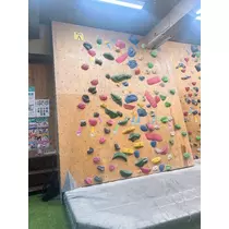 向日葵 ひまり