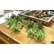 かなえ