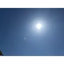 まい
