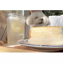 ミナミ