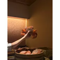 佐野 エマ