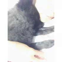ティナ
