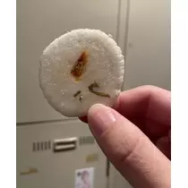 七星 夏純