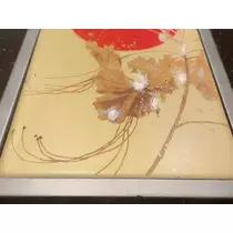 田中 美緒