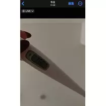 司