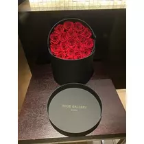 白石 愛莉