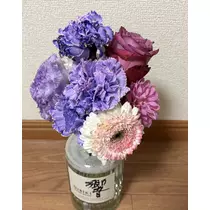 紫音