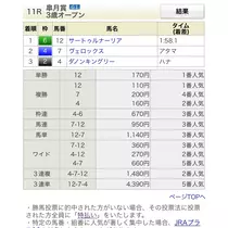 七星 夏純