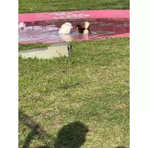 みらい