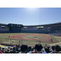 すみれ