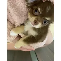 ありさ♡