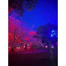 のぞみ