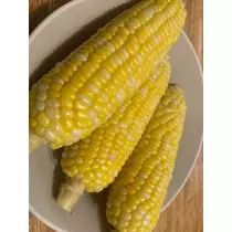 宍戸 いぶき