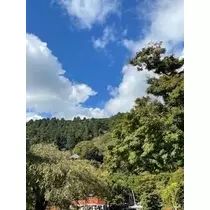 成海 まお