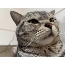りり
