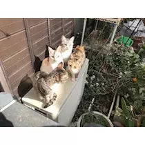 ユカ