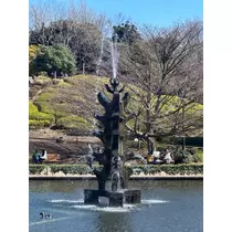 クロ