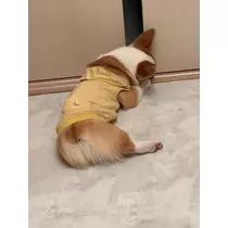 足立 はな
