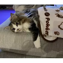 翠