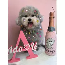 うづき ふうか