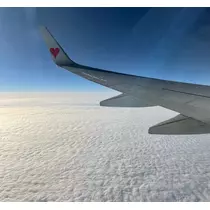 かんな
