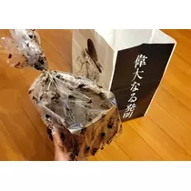 美穂